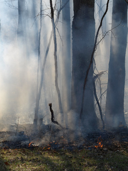 You cannot put a Fire&nbsp;out