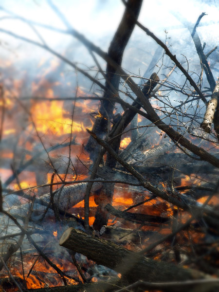 The fire rages&nbsp;on….