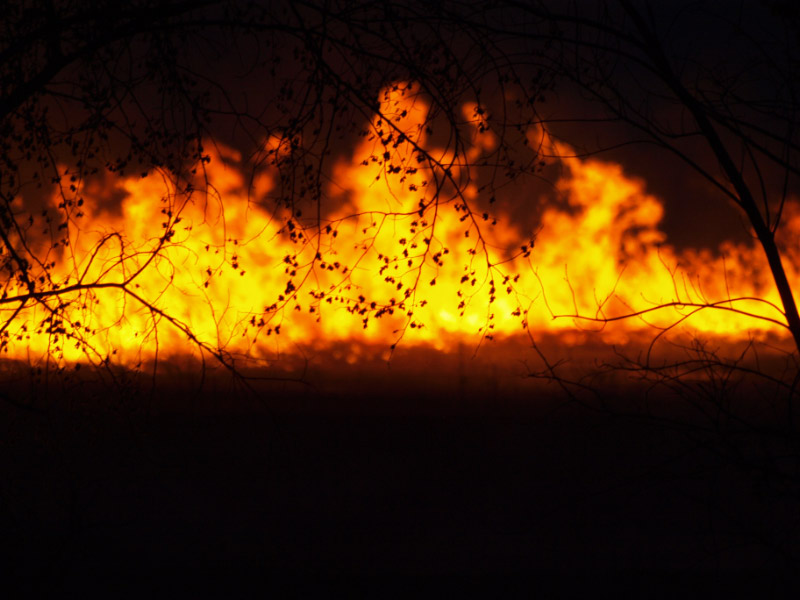 This kind of&nbsp;fire