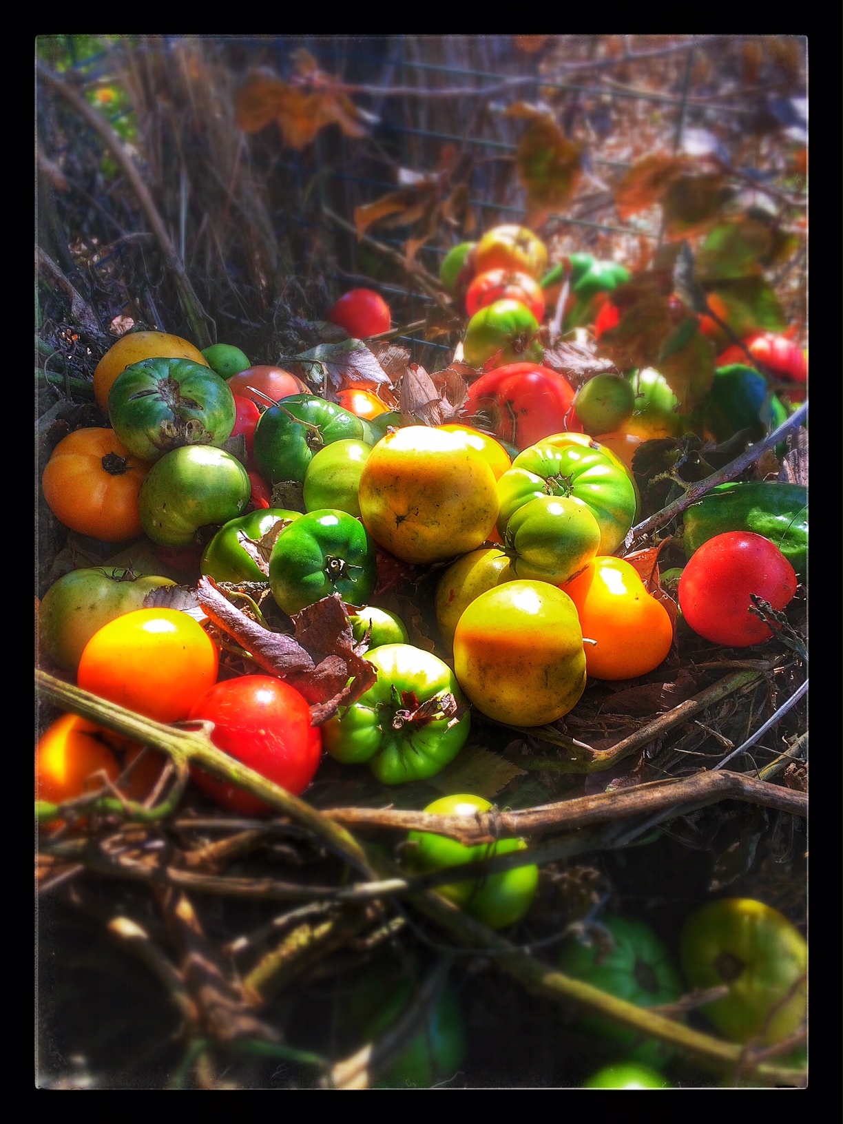 October thoughts…and an&nbsp;apology