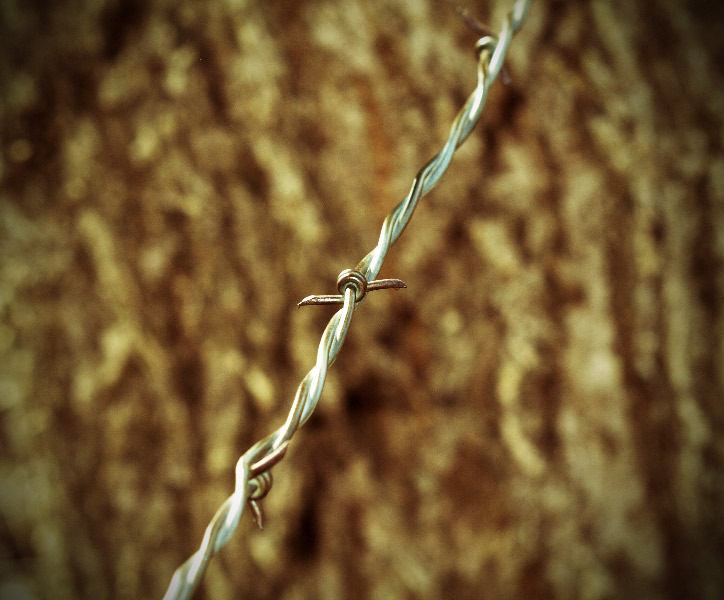 Walking with Zombies